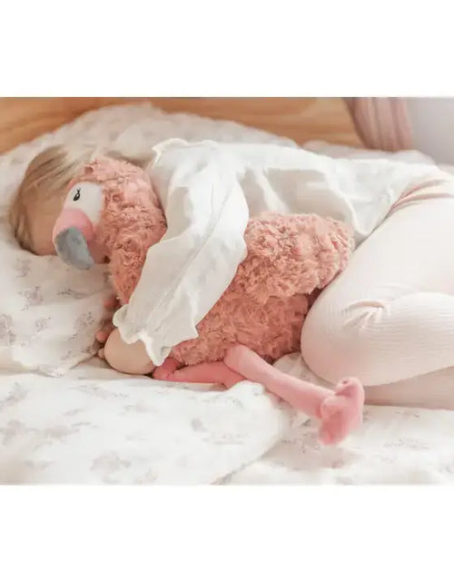 Load image into Gallery viewer, Francesca the Weighted Flamingo Plush Toy
